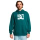 суичър,мъжки,пуловери,dc,shoes,star,hoodie,green,(deep,teal)