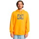 суичър,мъжки,пуловери,dc,shoes,star,hoodie,radiant,yellow,(yellow)