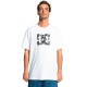 тениска,мъжки,тениски,dc,shoes,star,skully,short,sleeve,t,shirt,white,(white)