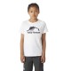 тениска,детски,тениски,helly,hansen,graphic,jr,short,sleeve,t,shirt,white
