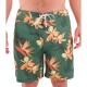 бански,гащета,мъжки,бански,костюми,hurley,phantom,eco,classic,18´´,swimming,shorts,malverde,2,(green)