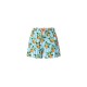 бански,гащета,мъжки,бански,костюми,north,sails,allover,volley,swimming,shorts,white,blue,stripes,orange,fruits,(blue)