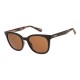 слънчеви,очила,слънчеви,очила,superdry,sds,5032,104,sunglasses,golden,(black,cream,tort)