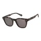 слънчеви,очила,слънчеви,очила,superdry,sds,5043,108,sunglasses,golden,(grey,tort)