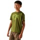 тениска,детски,тениски,regatta,alvarado,ix,short,sleeve,t,shirt,green,(nephrite,green)