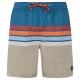 бански,гащета,мъжки,бански,костюми,protest,avik,swimming,shorts,raku,blue,(blue)