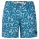 бански,гащета,мъжки,бански,костюми,protest,baza,swimming,shorts,raku,blue,(blue)