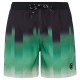 бански,гащета,мъжки,бански,костюми,protest,bowery,swimming,shorts,cactus,green,(green)