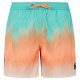 бански,гащета,мъжки,бански,костюми,protest,bowery,swimming,shorts,cadmium,orange,(multicolor)