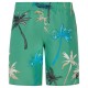 бански,гащета,детски,бански,костюми,protest,brandon,swimming,shorts,cactus,green,(green)