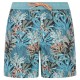 бански,гащета,мъжки,бански,костюми,protest,eton,swimming,shorts,blue