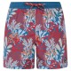 бански,гащета,мъжки,бански,костюми,protest,eton,swimming,shorts,scarlet,red,(blue)