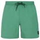 бански,гащета,мъжки,бански,костюми,protest,faster,swimming,shorts,green,(cactus,green)
