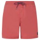 бански,гащета,мъжки,бански,костюми,protest,faster,swimming,shorts,brick,red,(red,pink)