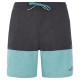бански,гащета,мъжки,бански,костюми,protest,freddie,swimming,shorts,arctic,green,(grey)