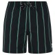 бански,гащета,мъжки,бански,костюми,protest,gonz,swimming,shorts,true,black,(black)