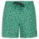 бански,гащета,мъжки,бански,костюми,protest,juan,swimming,shorts,green