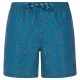 бански,гащета,мъжки,бански,костюми,protest,juan,swimming,shorts,raku,blue,(blue)