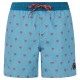 бански,гащета,мъжки,бански,костюми,protest,parco,swimming,shorts,dusty,blue,(blue)