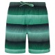 бански,гащета,мъжки,бански,костюми,protest,radar,swimming,shorts,cactus,green,(green)