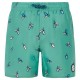 бански,гащета,детски,бански,костюми,protest,rocker,swimming,shorts,cactus,green,(green)