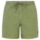 бански,гащета,мъжки,бански,костюми,protest,raptor,swimming,shorts,artic,green,(green)
