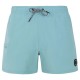 бански,гащета,мъжки,бански,костюми,protest,yessine,swimming,shorts,arctic,green,(blue)