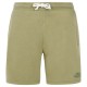 къси,панталони,мъжки,панталони,protest,tedor,shorts,artic,green,(green)