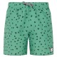 бански,гащета,детски,бански,костюми,protest,tyson,swimming,shorts,cactus,green,(green)