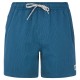 бански,гащета,мъжки,бански,костюми,protest,wytona,swimming,shorts,raku,blue,(blue)