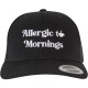 тениска,всички,шапки,mister,tee,allergic,to,mornings,retro,trucker,cap,black,(black)