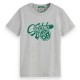 тениска,детски,тениски,scotch,&,soda,180474,regular,fit,short,sleeve,t,shirt,grey,(grey,melange)