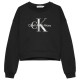 суичър,детски,блузи,calvin,klein,glitter,monologo,hoodie,black,(ck,black)