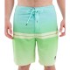 бански,гащета,мъжки,бански,костюми,hurley,weekender,20´´,swimming,shorts,pineapple,(green,blue)