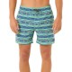 бански,гащета,мъжки,бански,костюми,rip,curl,fun,times,volley,swimming,shorts,neon,green,(green)