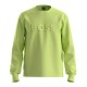 блуза,мъжки,пуловери,boss,salbo,10256713,sweatshirt,light,pastel,green,(green)