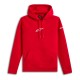 суичър,мъжки,пуловери,alpinestars,frontal,hoodie,red,(red)