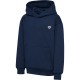 суичър,детски,блузи,hummel,loose,bee,hoodie,dress,blues