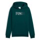 суичър,детски,блузи,puma,ess,logo,lab,hoodie,green,terrain