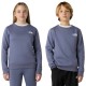 блуза,детски,блузи,the,north,face,simple,dome,sweatshirt,purple,(twilight,galaxy)