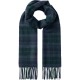 шал,ръкавици,шапки,и,шалове,hackett,plaid,logo,scarf,hunter,green,(green,blue)