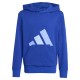 суичър,детски,блузи,adidas,essentials,hoodie,blue,(team,royal,blue,blue,fusion,glow,blue)