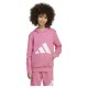 суичър,детски,блузи,adidas,essentials,hoodie,pink,fusion,clear,pink,white,(pink)
