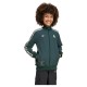 яке,детски,анцузи,adidas,juventus,terrace,icons,tracksuit,jacket,green,(shadow,green)