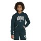 суичър,детски,блузи,adidas,seasonals,essentials,collegiate,typography,hoodie,blue,(aurora,ivy,white)