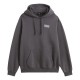 суичър,мъжки,пуловери,vans,earthbound,loose,hoodie,grey,(asphalt)