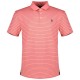 мъжки,блузи,с,яка,polo,ralph,lauren,785a87084,polo,pink,(desert,rose,old,royal)