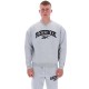 блуза,мъжки,пуловери,reebok,classics,cottle,sweatshirt,light,grey,marl