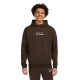 суичър,мъжки,пуловери,o´neill,the,future,surf,society,hoodie,brown,(coffee,bean)