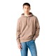 суичър,мъжки,пуловери,levi´s,®,new,original,hoodie,beige,(multi,nep,fungi)